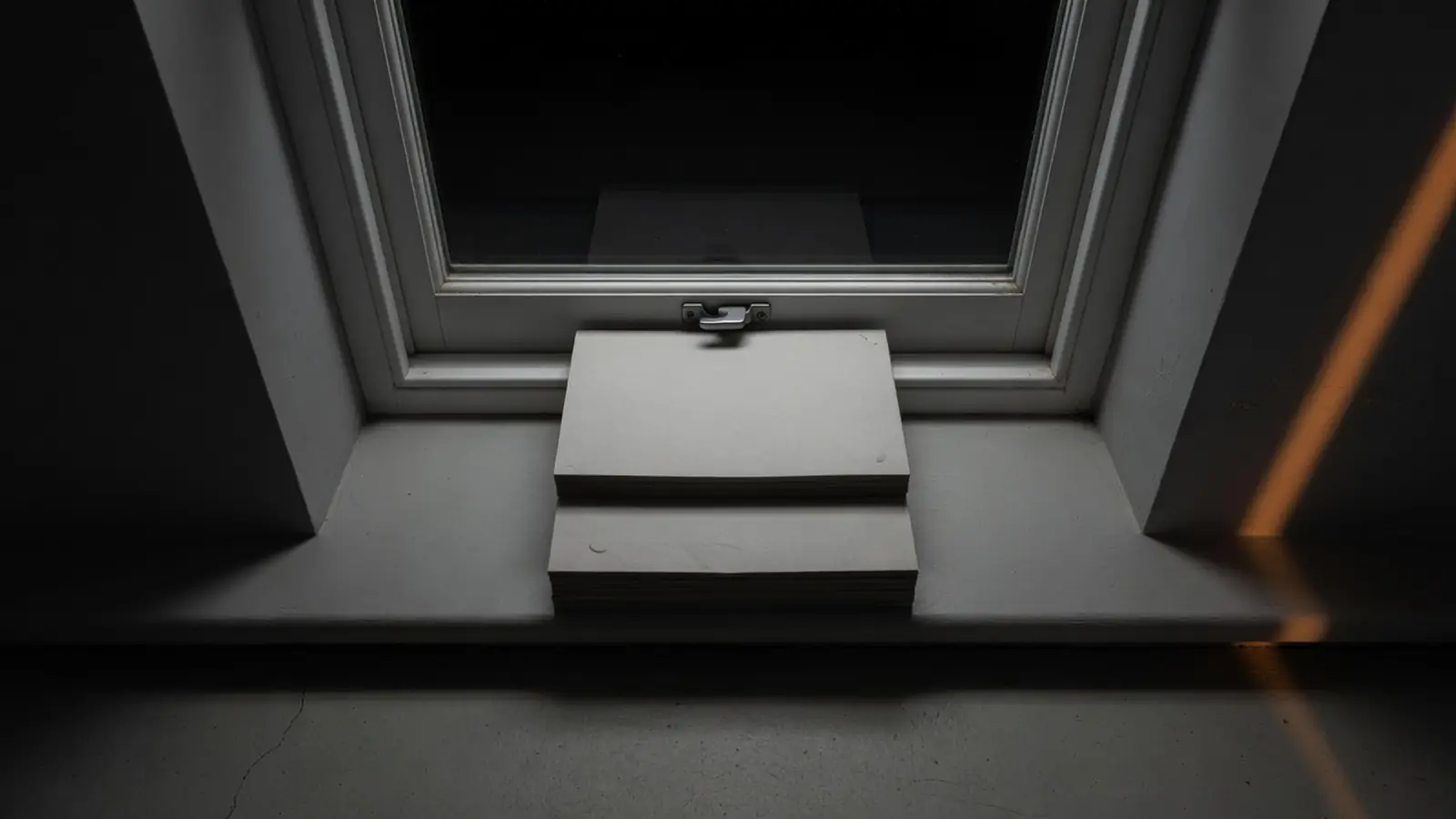 BitView Data Breach (2024)